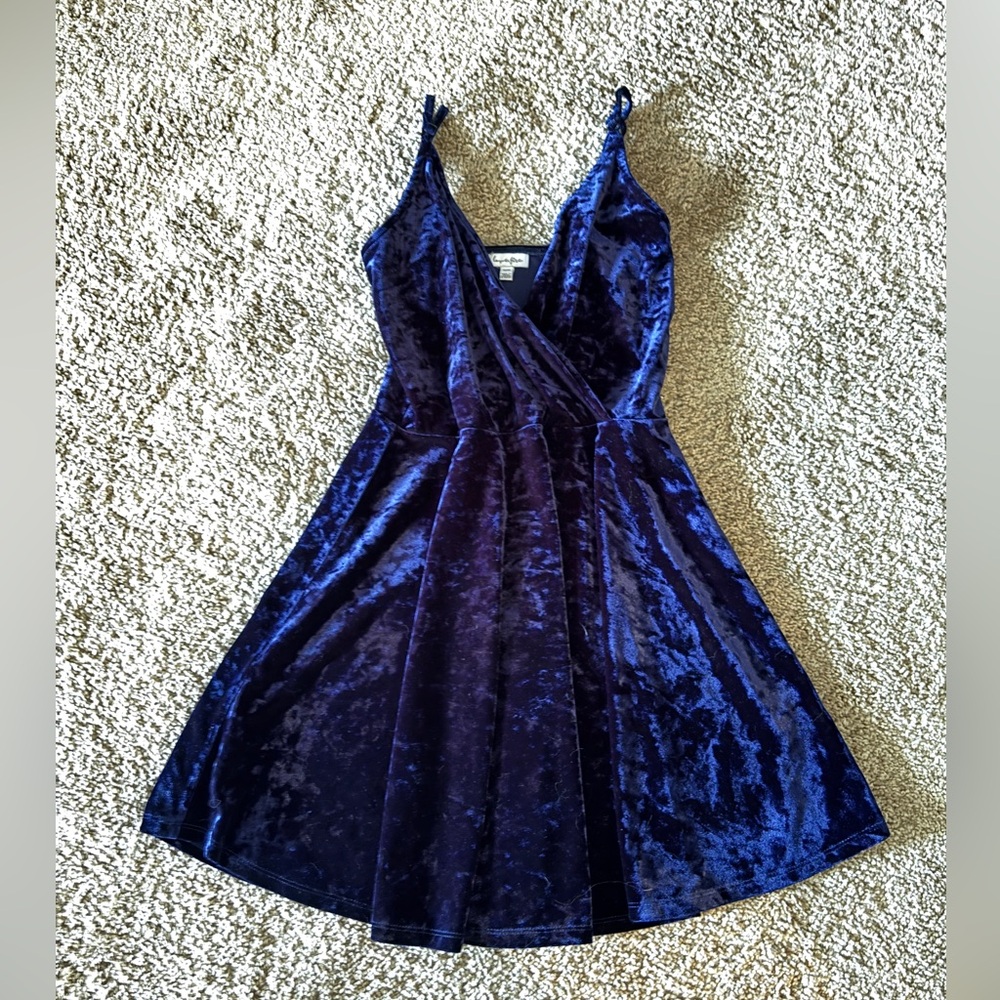 Blue Velvet Skater Dress